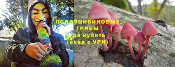 mdpv Инсар