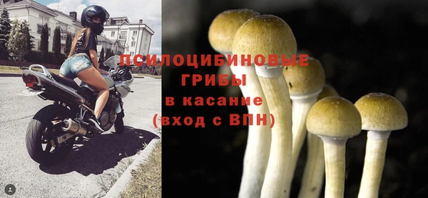 мет Зеленодольск